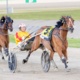 Trotting Queen of the track primed for three-peat
