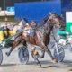 O'Connor: The rise and rise of the Victorian trotter